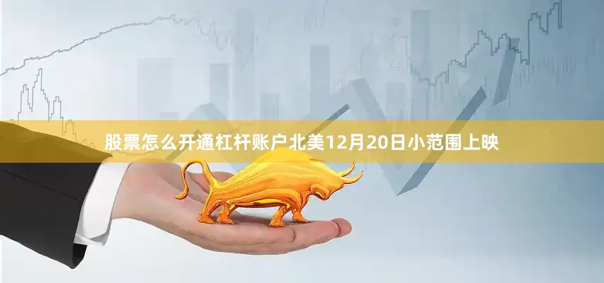 股票怎么开通杠杆账户北美12月20日小范围上映