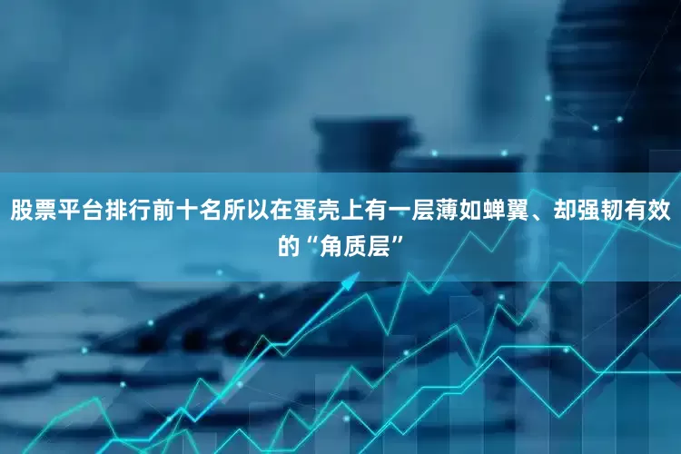 股票平台排行前十名所以在蛋壳上有一层薄如蝉翼、却强韧有效的“角质层”