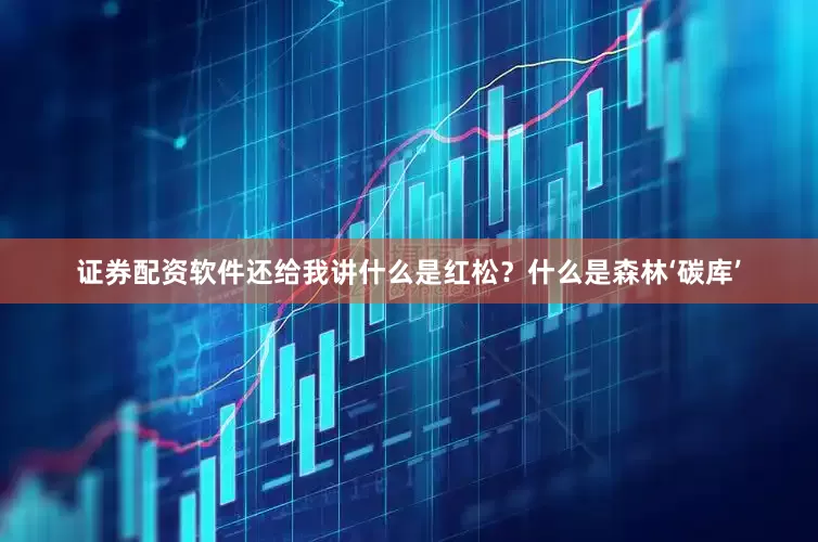 证券配资软件还给我讲什么是红松？什么是森林‘碳库’
